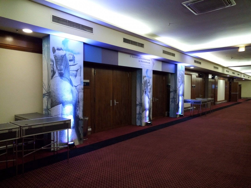 V SUMMIT LATINO AMERICANO DE NEUROCIÊNCIAS - HOTEL SHERATON WTC - SP