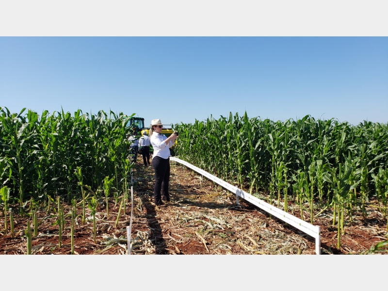 03 a 05/12/18 AGTECH M.A MÁQUINAS - PALOTINA - PR