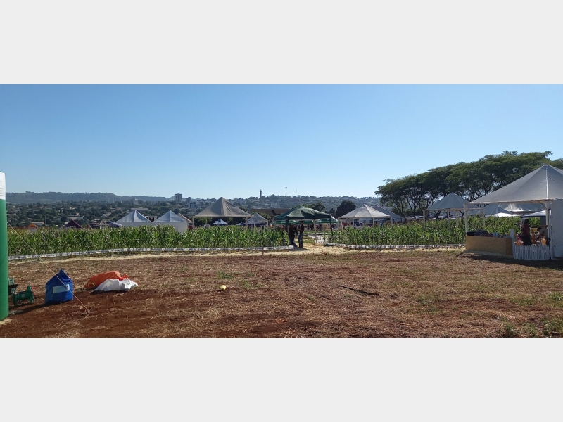 03 e 04/12/2021 DIA DE CAMPO UNIGUAÇU