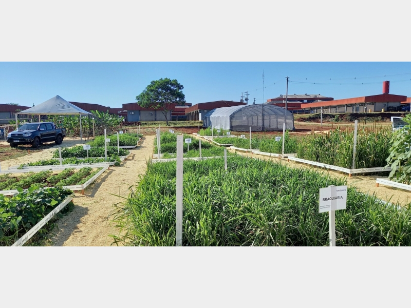 03 e 04/12/2021 DIA DE CAMPO UNIGUAÇU