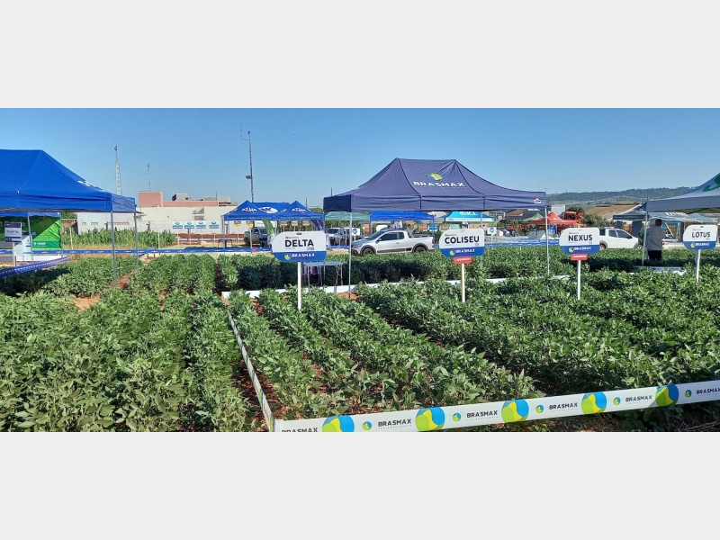 03 e 04/12/2021 DIA DE CAMPO UNIGUAÇU