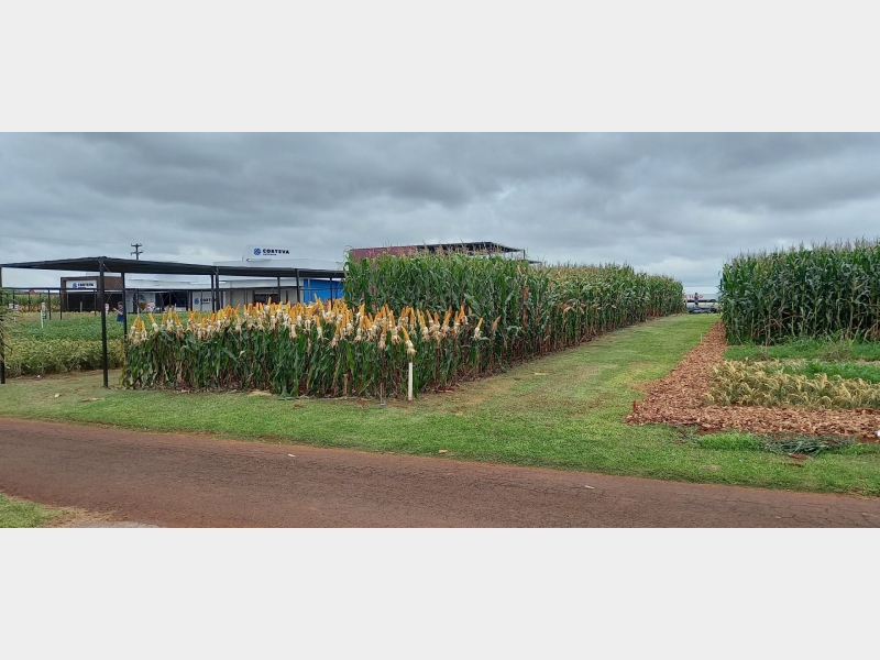 07 a 11/02/22 SHOW RURAL COOPAVEL 2022 - CASCAVEL PR