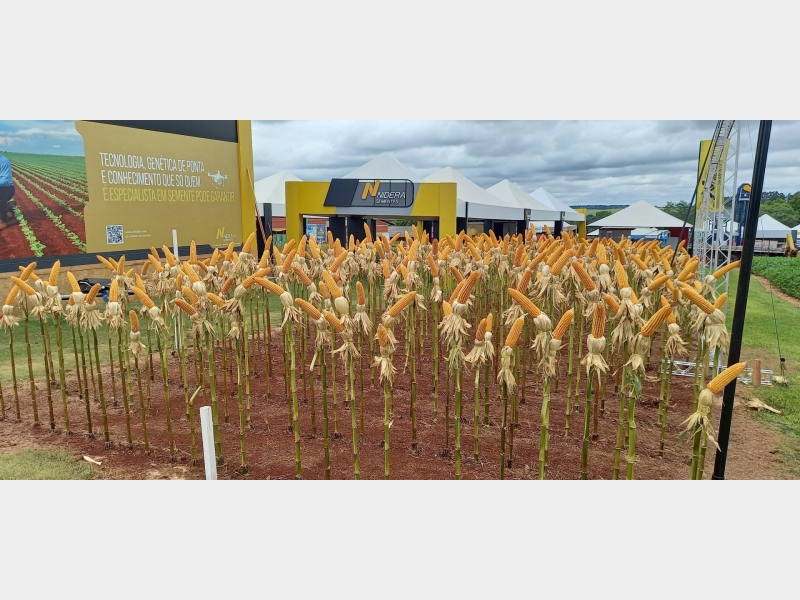 07 a 11/02/22 SHOW RURAL COOPAVEL 2022 - CASCAVEL PR