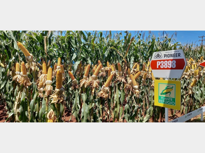 07 a 11/02/22 SHOW RURAL COOPAVEL 2022 - CASCAVEL PR