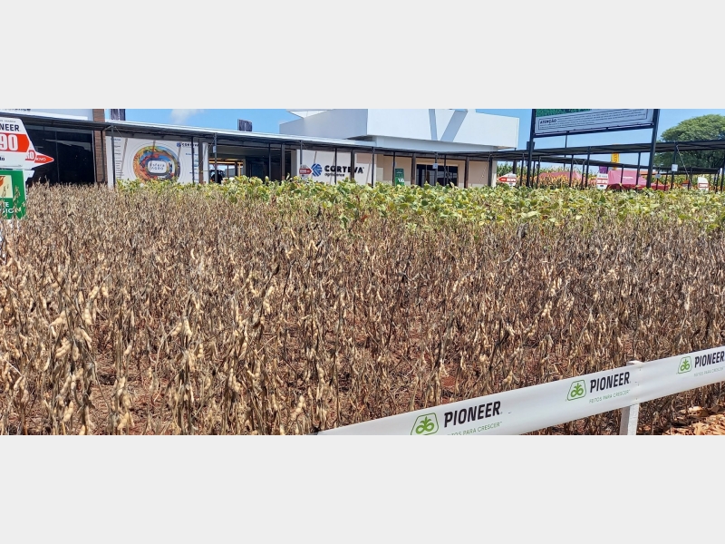 07 a 11/02/22 SHOW RURAL COOPAVEL 2022 - CASCAVEL PR