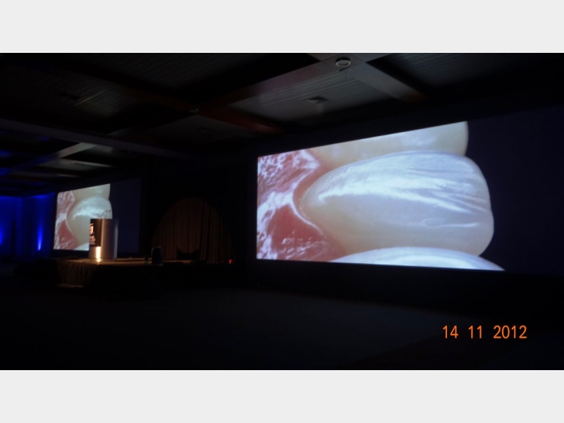 15 a 17/11/12 VI ALUMNIS MEETING 