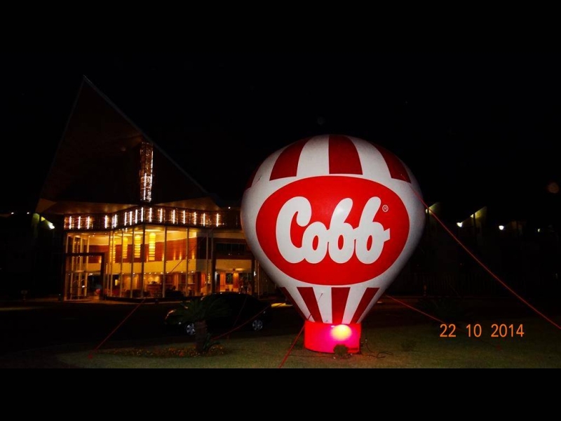 21 a 23/10/14 EVENTO DA COBB