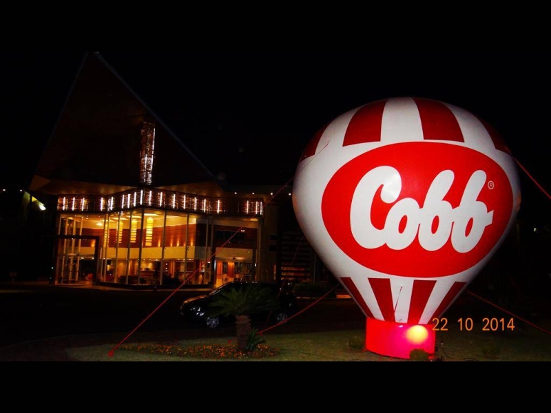 21 a 23/10/14 EVENTO DA COBB