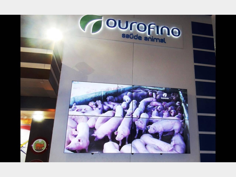 28 a 30/10/14 EXPO PORK 2014